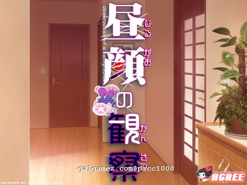 昼颜的观察者 汉化作弊版 [情感SLG] (ninyun个人汉化+CG包/1G)