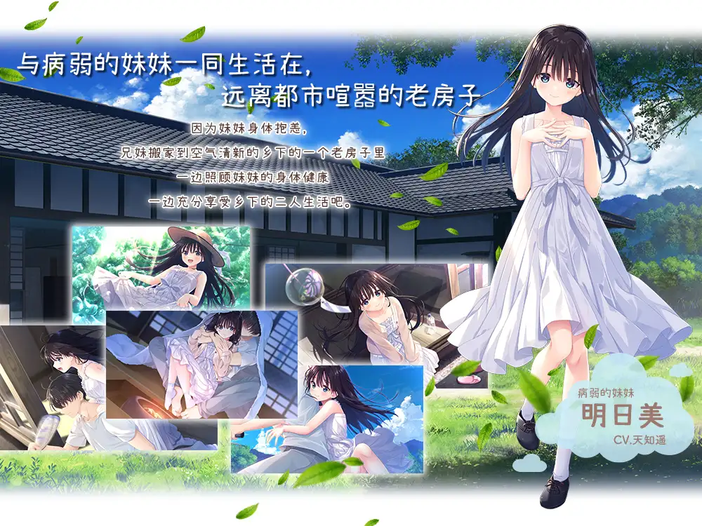 深情哥哥与虚弱妹妹的乡间生活 [官方中文步兵版] 【PC-RPG游戏】 (3G) /RPG・官中・动态无码/