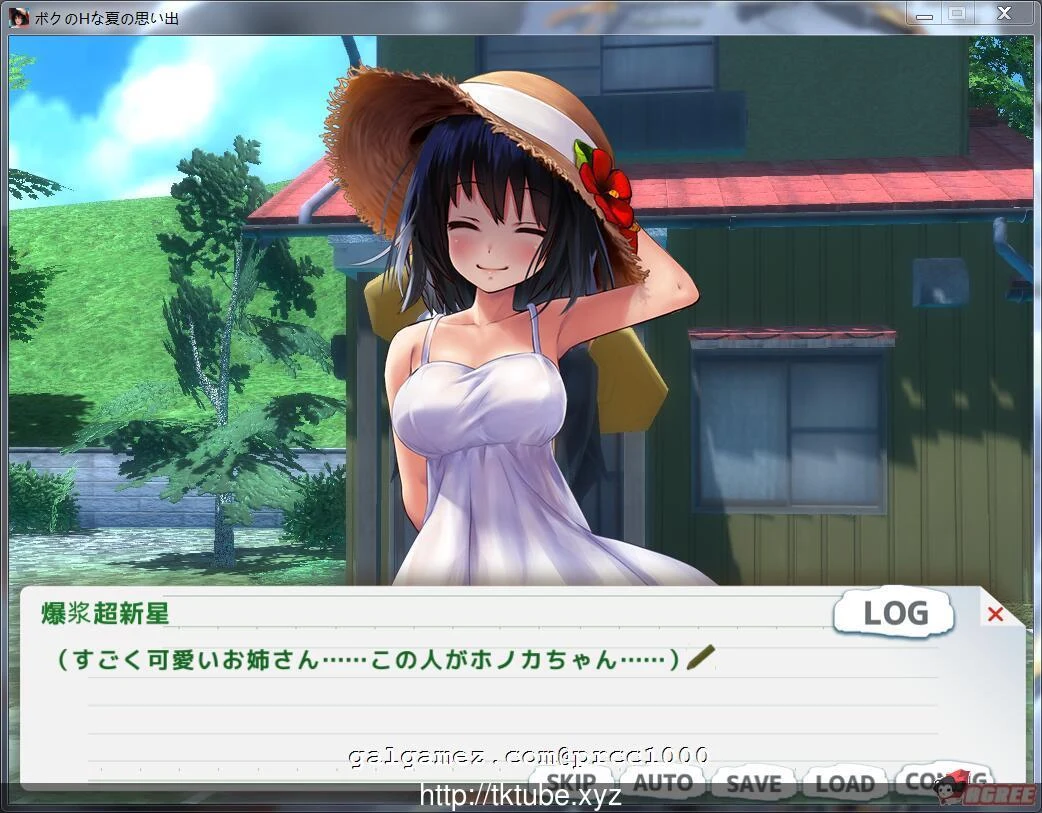 【养成SLG/3D/全动态】我的エロ夏天回忆~和姐姐们一起度过的8月 DL正式版【3G】[CV] 畅玩游戏 预览第5张