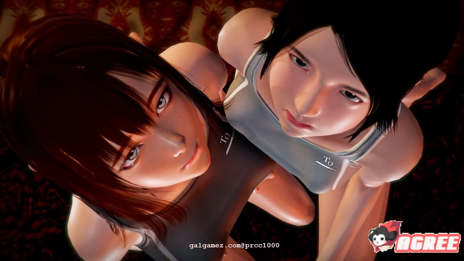 昏暗之声~Noise V0.37 官方中文完整版 [国产超高自由度RPG/步兵] 全CV/4.2G