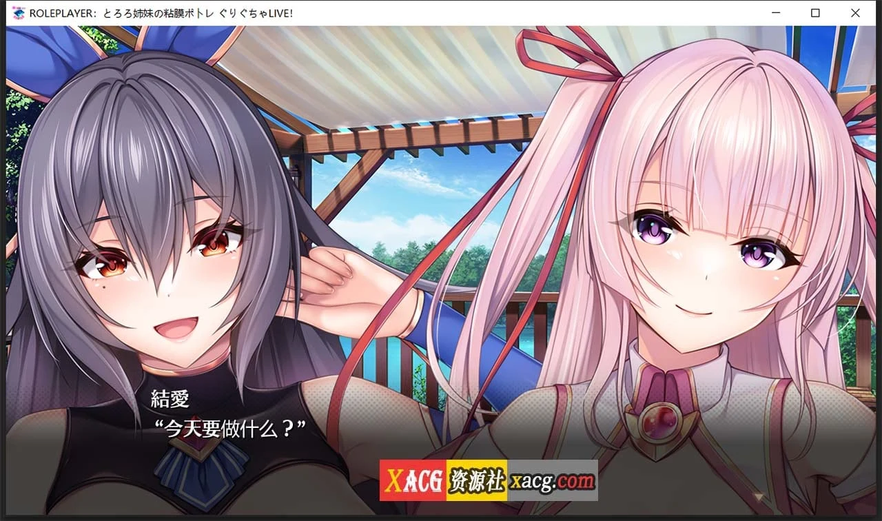 ROLEPLAYER：山药姐妹的互动游戏[精翻汉化版+全CG档]【神级SLG/动态】{新汉化/4.4G}