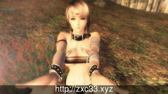 上古卷轴4:湮没 天际降临版 [3D整合/汉化/动态] (绅士MOD大整合+各类随从/16G)
