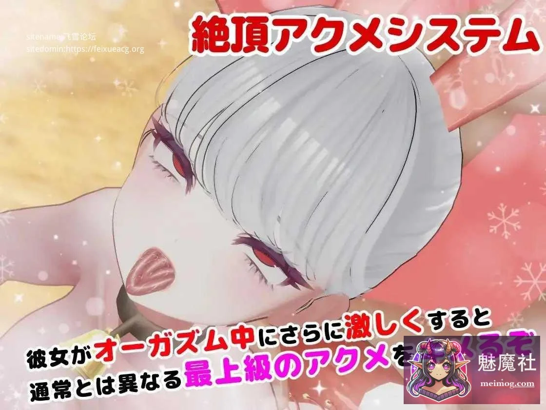 兔女郎辣妹圣诞老人 [3D/动态] [PC] [v1.01 生肉+动态] BunnyGalSanta-バニーギャルサンタ [522m/百度云/FM]