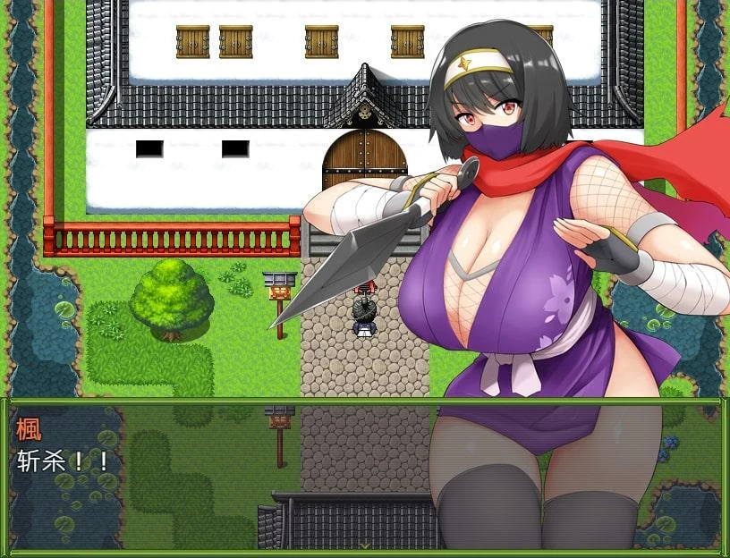 【RPG/中文】女忍者-枫 DL官方中文版+存档[スタジオねこキック]【800M/全CV】 畅玩游戏 预览第5张