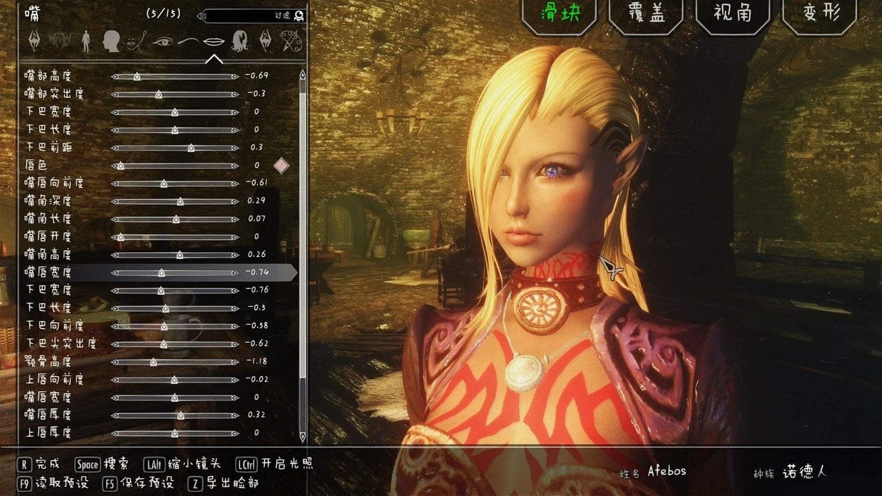 【重磅推荐/3D/RPG/汉化】少女卷轴5：污神整合-傻瓜一键智能安装整合中文版【新整合/40G】 畅玩游戏 预览第5张