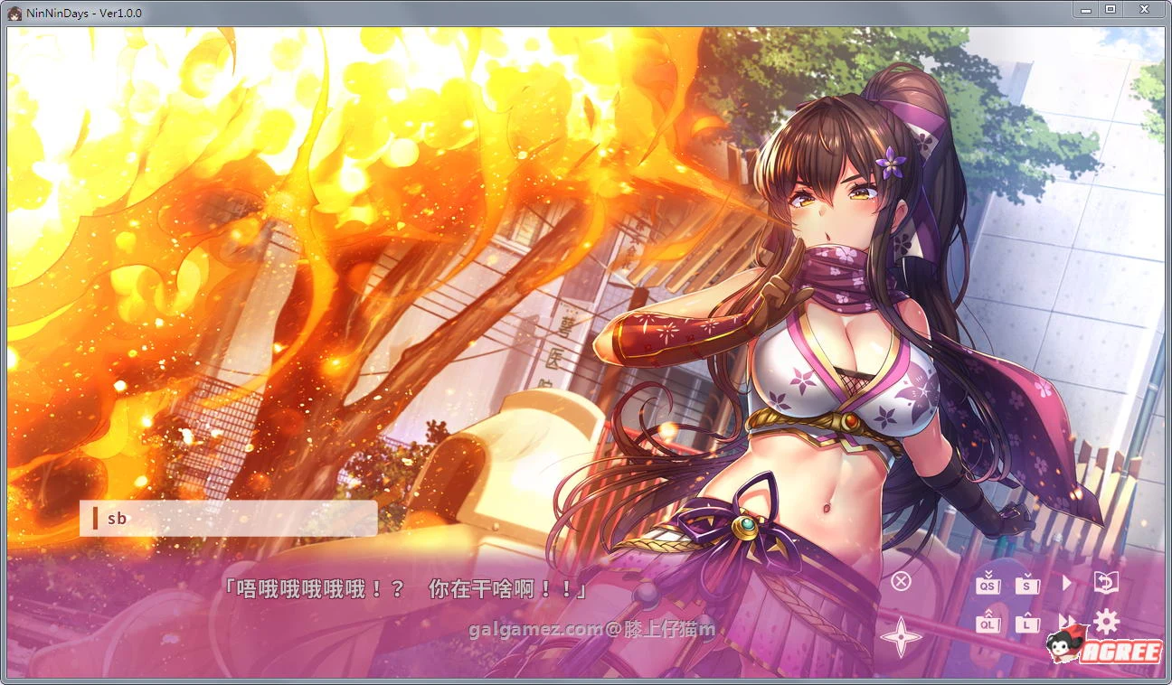 【SLG/中文/全动态】女忍者同居生活：NinNinDays官方中文版+社保补丁【佳作】【800M】 畅玩游戏 预览第6张