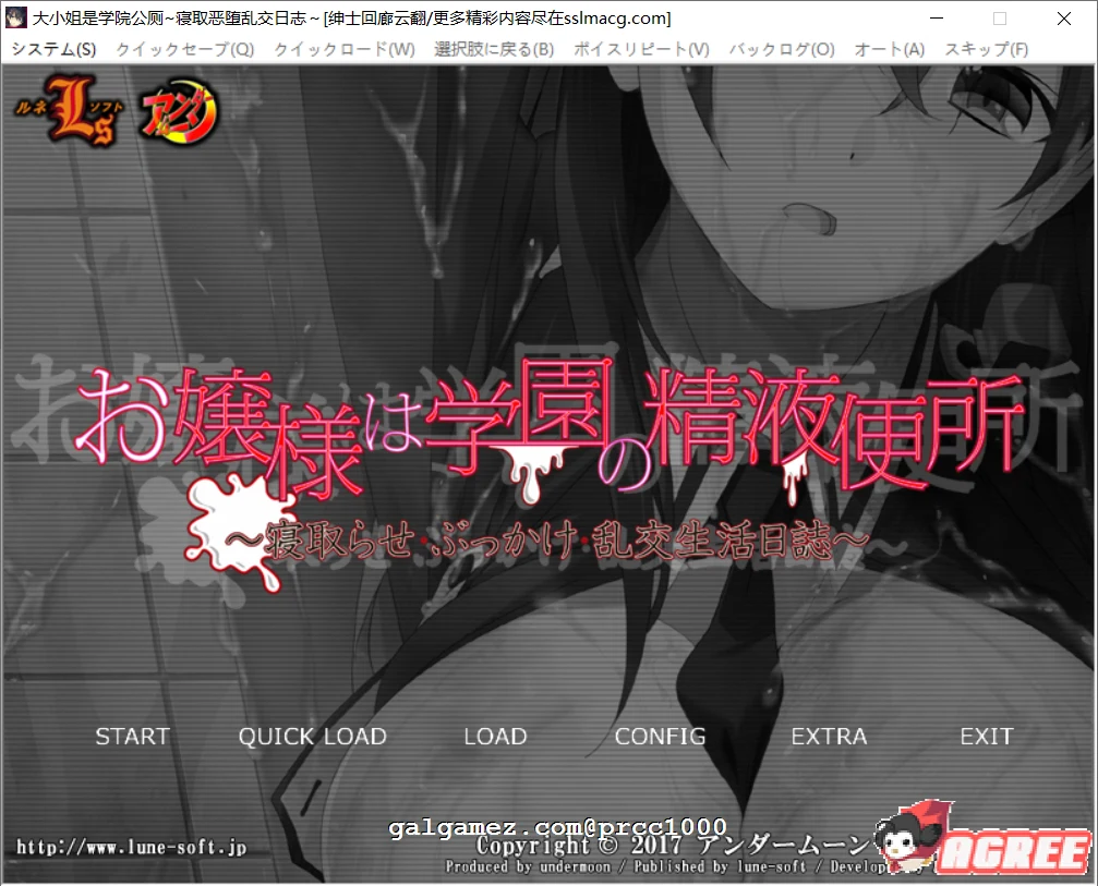 大小姐学院观察日记~情感变化记录 云翻汉化版 [ADV/1G]